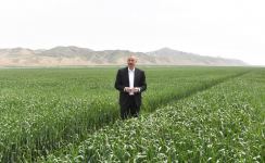 Президент Ильхам Алиев принял участие в презентации агропарка ООО Aqro Dairy в Гаджигабуле (ФОТО)