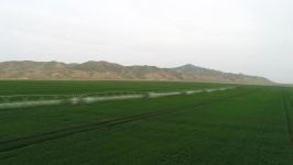 Президент Ильхам Алиев принял участие в презентации агропарка ООО Aqro Dairy в Гаджигабуле (ФОТО)