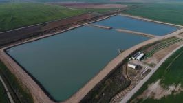 Президент Ильхам Алиев принял участие в открытии «Шамахинского агропарка Азерсун» (ФОТО)