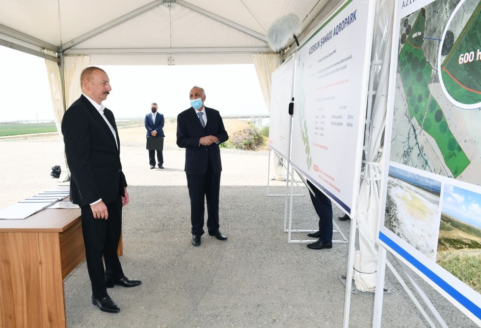 Президент Ильхам Алиев принял участие в открытии «Шамахинского агропарка Азерсун» (ФОТО)