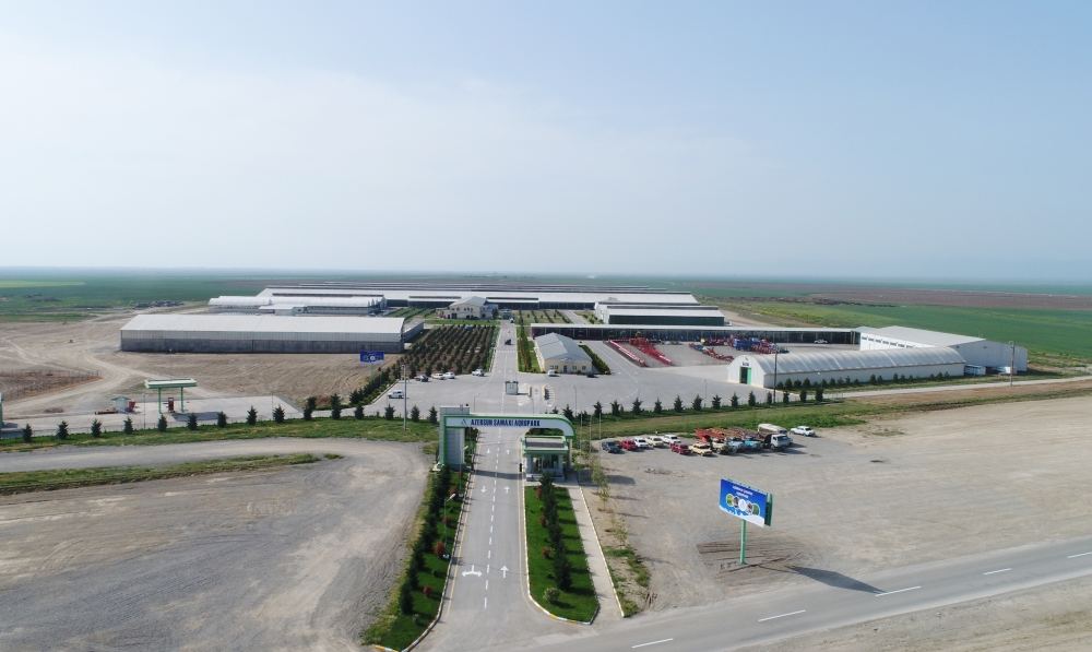 Президент Ильхам Алиев принял участие в открытии «Шамахинского агропарка Азерсун» (ФОТО)