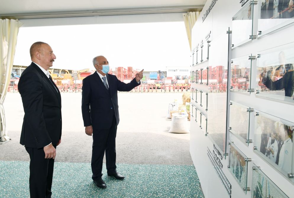 Президент Ильхам Алиев принял участие в открытии «Шамахинского агропарка Азерсун» (ФОТО)