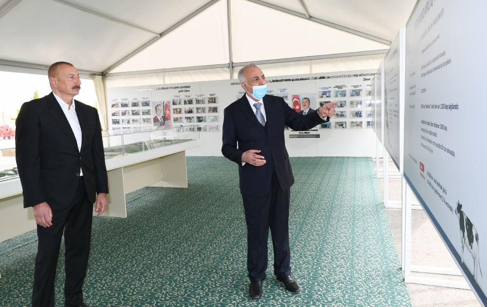 Президент Ильхам Алиев принял участие в открытии «Шамахинского агропарка Азерсун» (ФОТО)