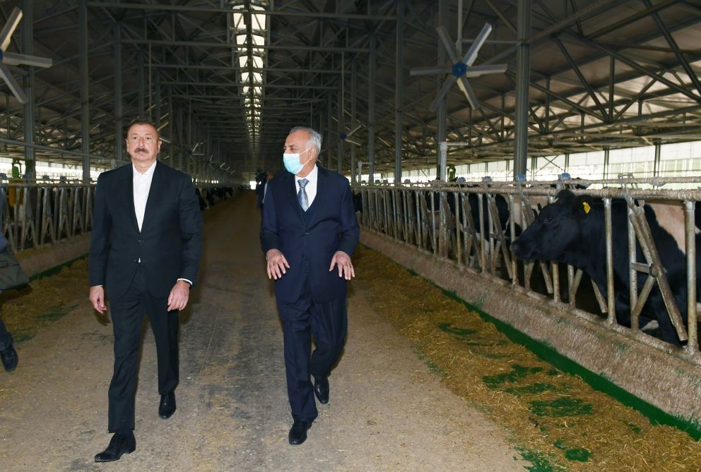 Президент Ильхам Алиев принял участие в открытии «Шамахинского агропарка Азерсун» (ФОТО)