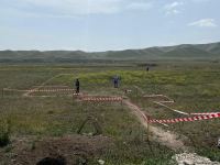 Суговушан и Талышкенд очищаются от мин для строительства ЛЭП (ФОТО)