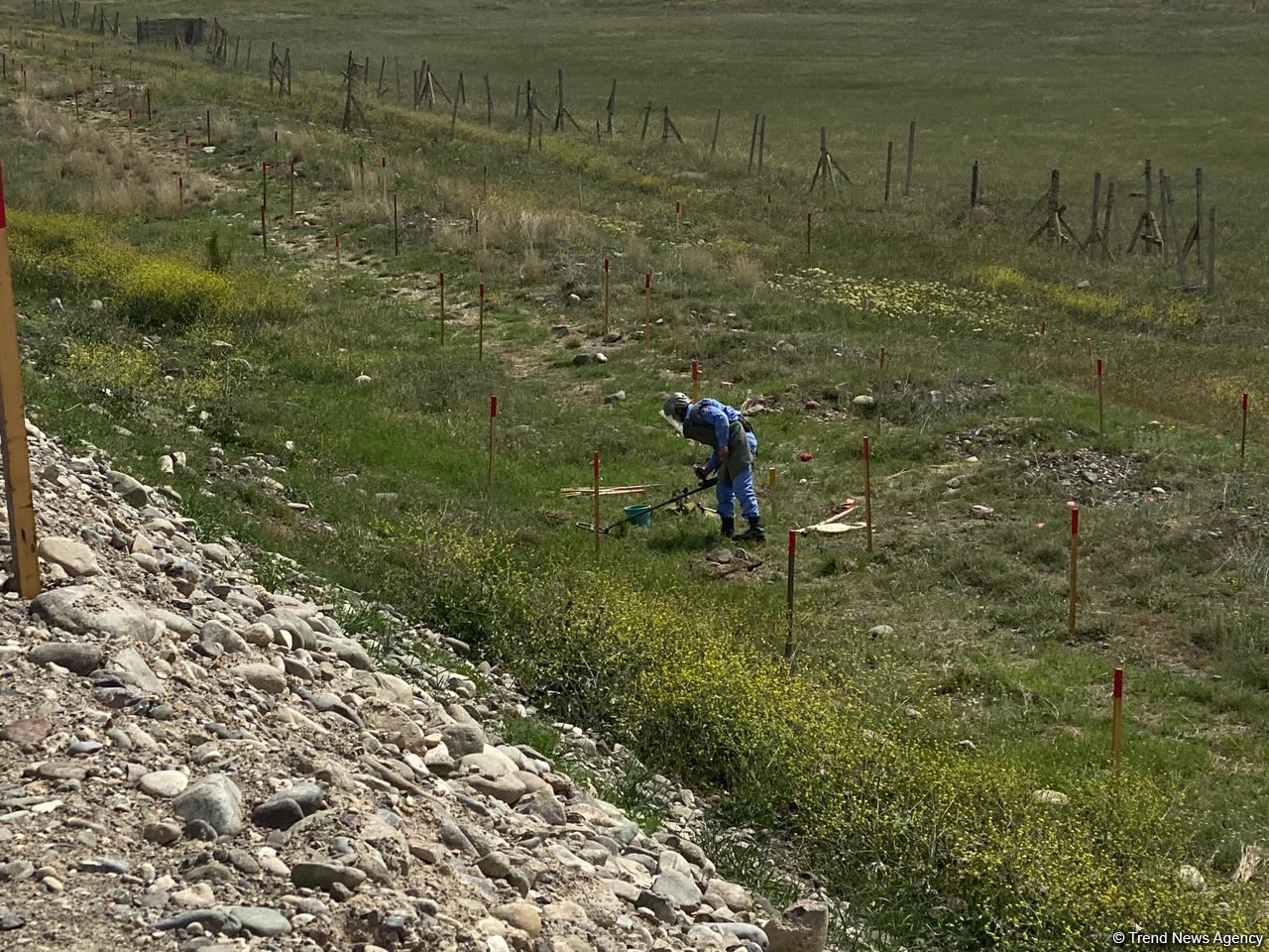 Суговушан и Талышкенд очищаются от мин для строительства ЛЭП (ФОТО)