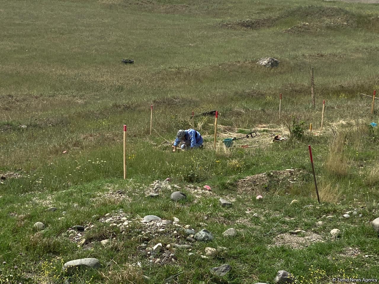 Суговушан и Талышкенд очищаются от мин для строительства ЛЭП (ФОТО)
