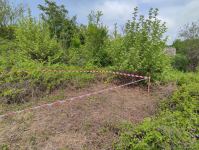 За период оккупации в Физули уничтожены 11 восточных платанов - минэкологии