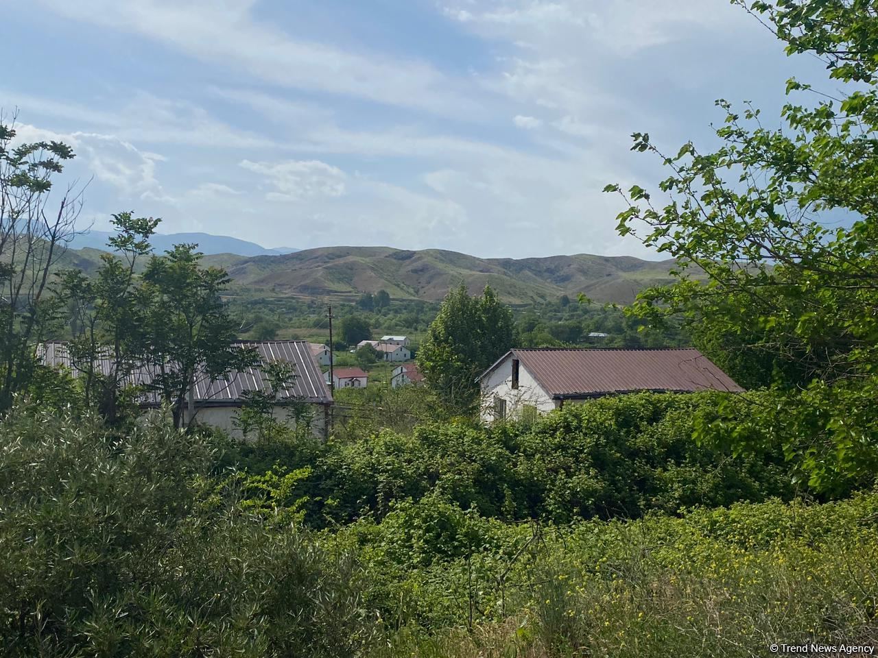 В селе Ханлыг Губадлинского района начинается новая жизнь - Trend TV