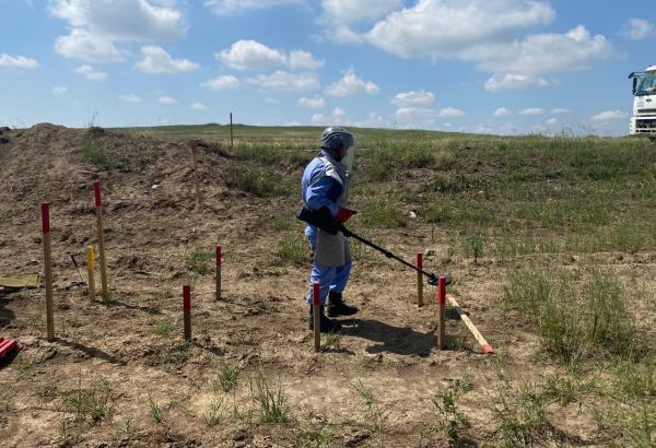 Названа общая площадь разминированных освобожденных от оккупации земель Азербайджана