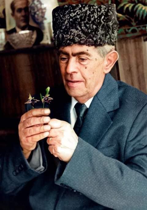 Потомок Панах Али хана, основателя Карабахского ханства: Во время исполнения "Баяты Шираз" над Джыдыр дюзю парил орел (ВИДЕО, ФОТО)