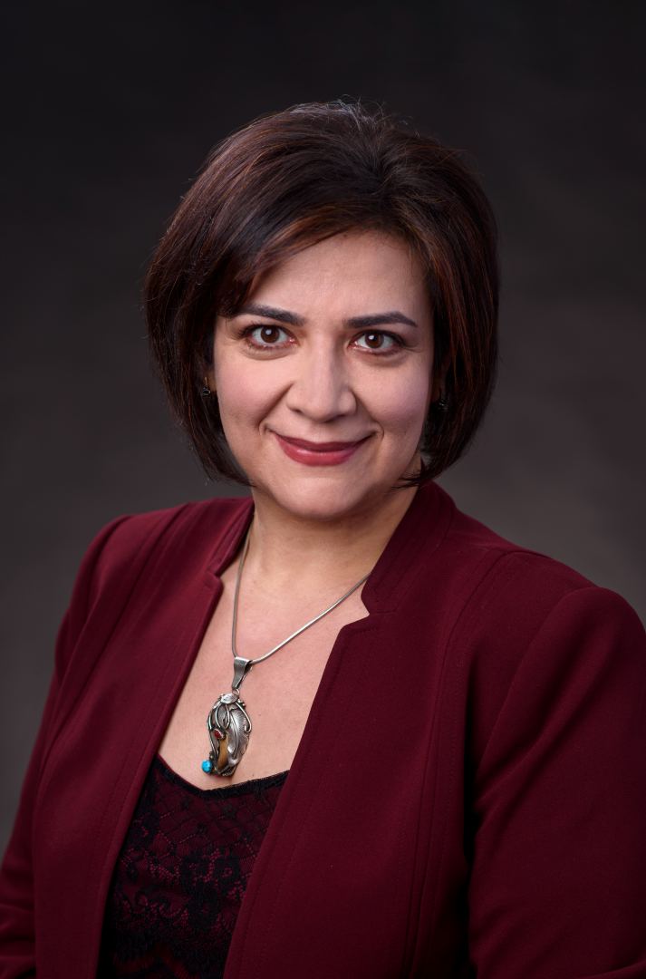 Агидa Манизаде – азербайджанская "царица всех наук" в США: эксклюзивное интервью с членом Клуба миллионеров (ФОТО)