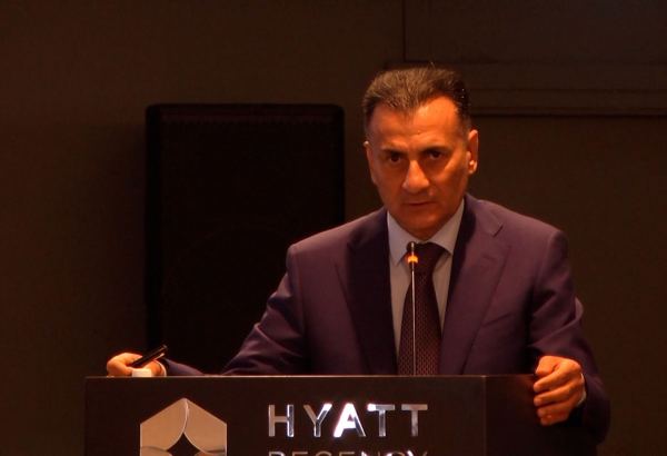 Отношения Президента Ильхама Алиева и Реджепа Тайипа Эрдогана должны быть примером для азербайджанских и турецких СМИ - Миршахин Агаев