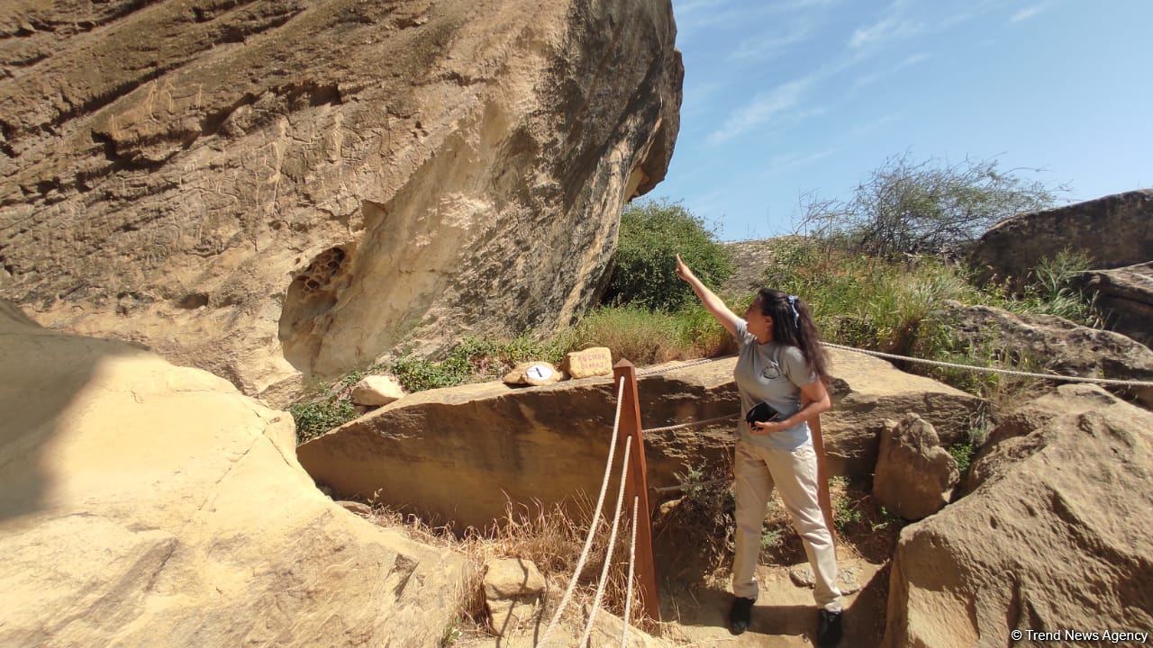Зарубежные блогеры посетят освобожденные территории Азербайджана (ФОТО/ВИДЕО)