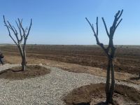 Строительство современного Агдама - в преддверии Великого возвращения - репортаж Trend TV