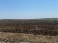 Строительство современного Агдама - в преддверии Великого возвращения - репортаж Trend TV