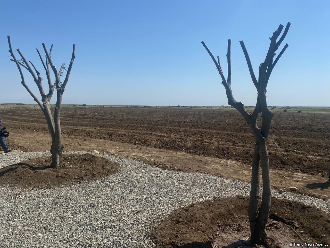 Строительство современного Агдама - в преддверии Великого возвращения - репортаж Trend TV