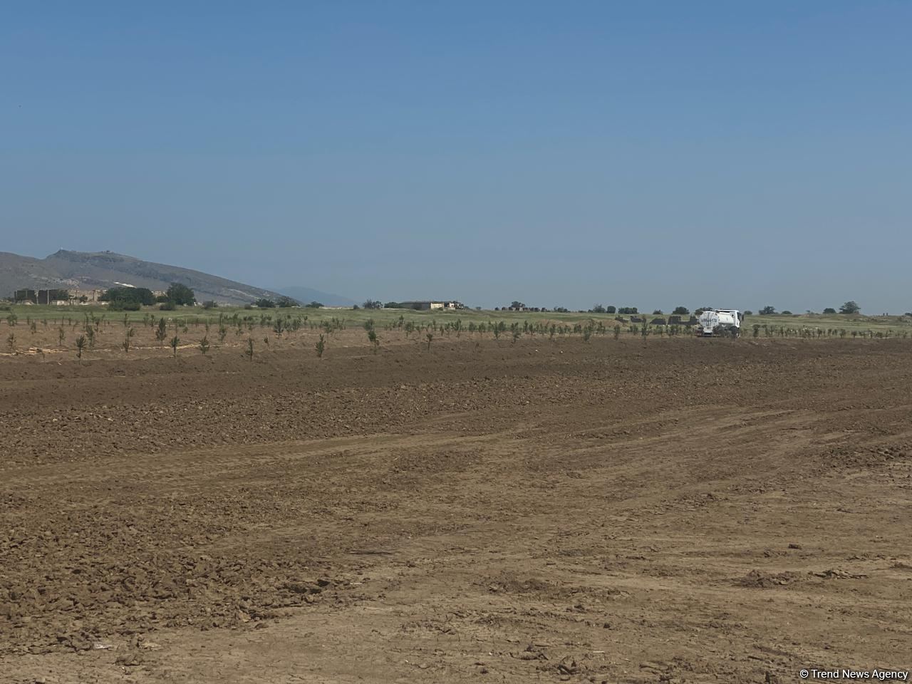 Строительство современного Агдама - в преддверии Великого возвращения - репортаж Trend TV