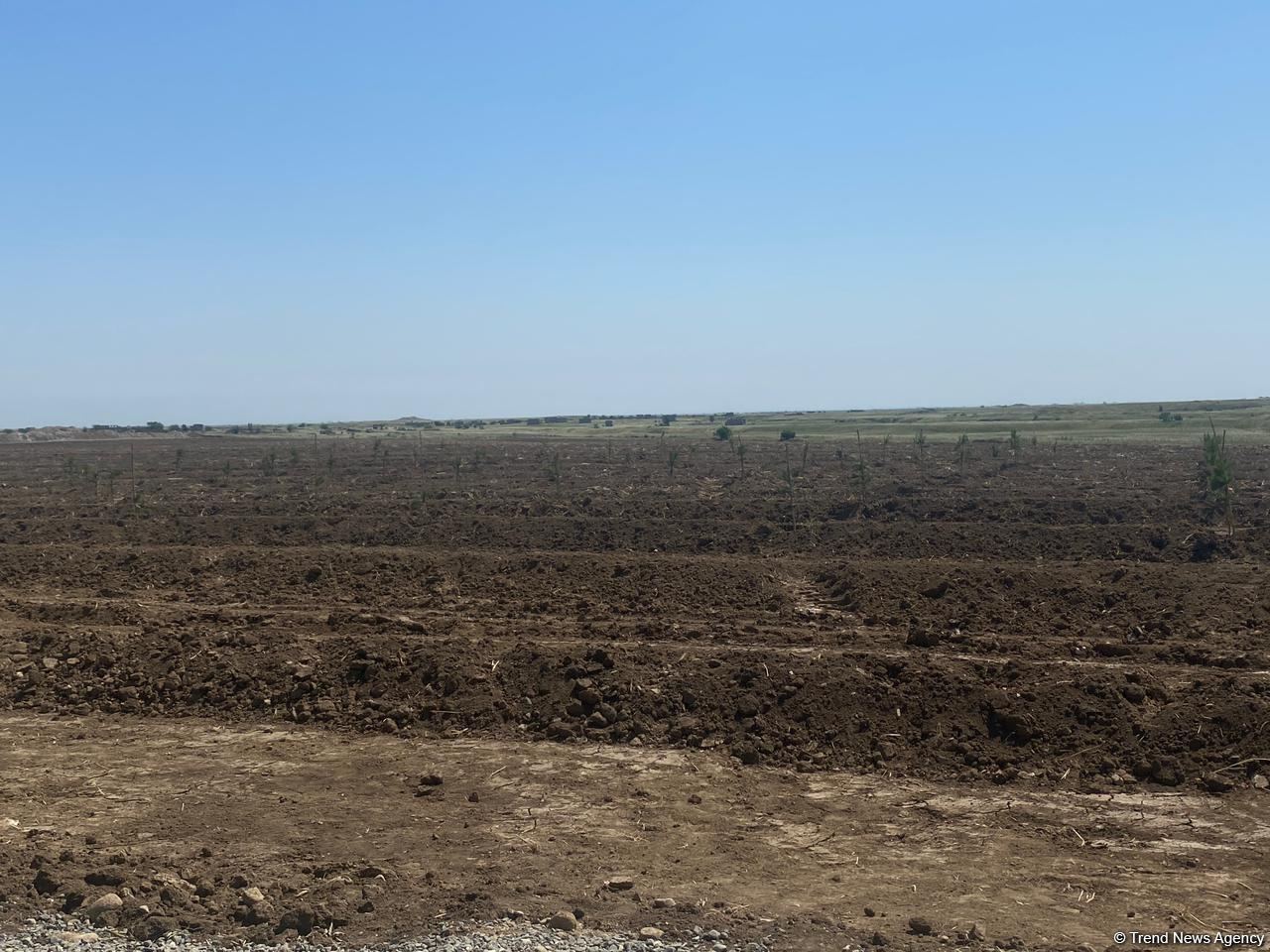 Строительство современного Агдама - в преддверии Великого возвращения - репортаж Trend TV