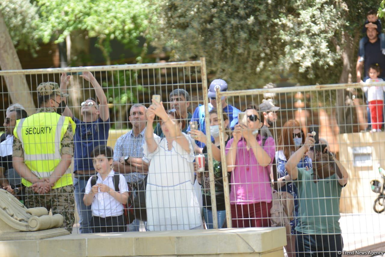 В Баку стартовали свободные заезды Гран-при Азербайджана Формулы-1 (ФОТО)