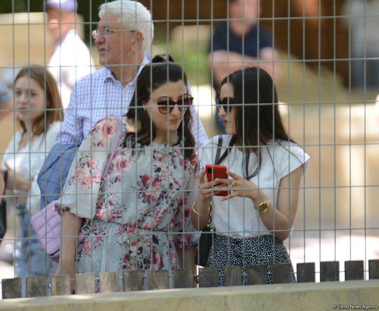 В Баку стартовали свободные заезды Гран-при Азербайджана Формулы-1 (ФОТО)