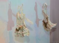 В Баку представлена оригинальная экспозиция устойчивой моды - будущее текстиля (ФОТО)