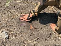 Свыше 7 тыс. гектаров освобожденных территорий Азербайджана очищено от мин (ФОТО)