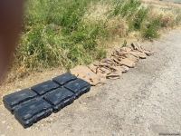 Свыше 7 тыс. гектаров освобожденных территорий Азербайджана очищено от мин (ФОТО)