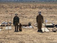 Физули очищают от мин (ФОТО)