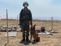 Физули очищают от мин (ФОТО)