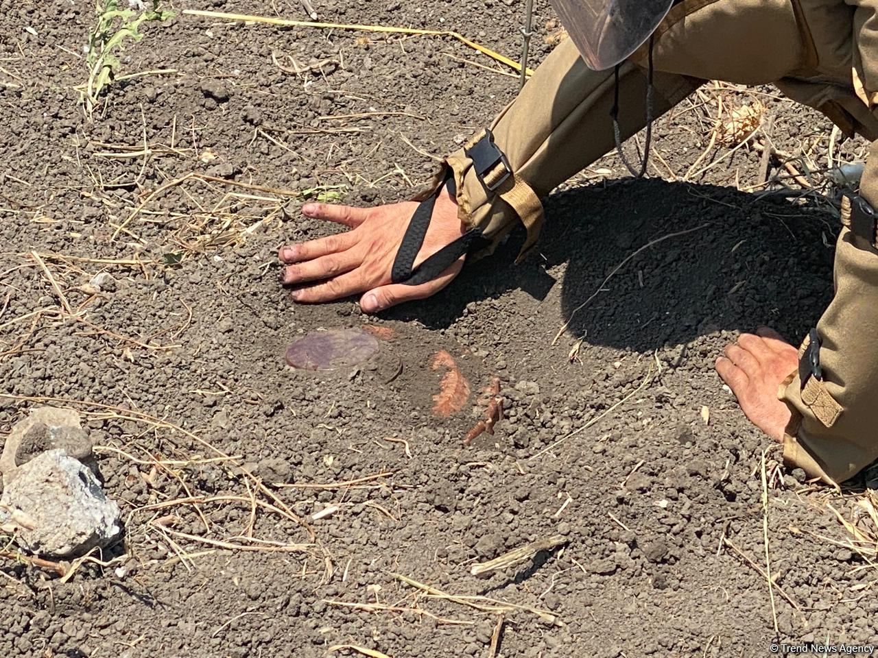 Свыше 7 тыс. гектаров освобожденных территорий Азербайджана очищено от мин (ФОТО)