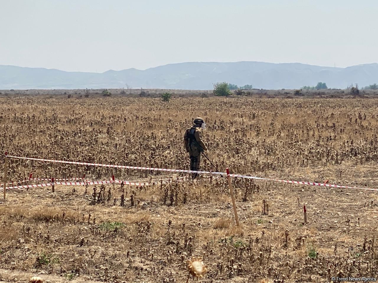 Физули очищают от мин (ФОТО)