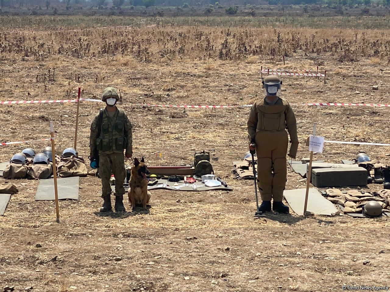 Физули очищают от мин (ФОТО)