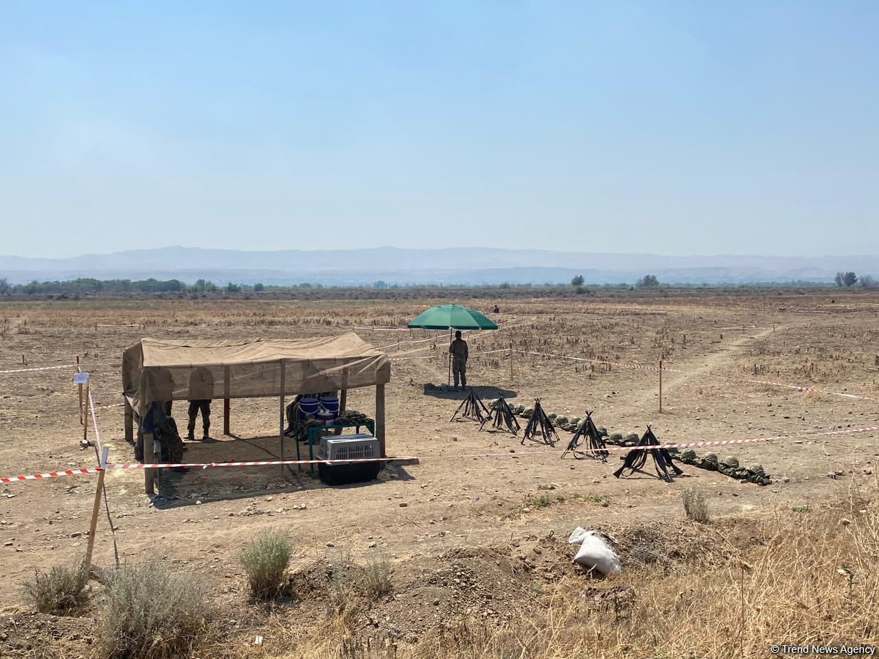 Физули очищают от мин (ФОТО)