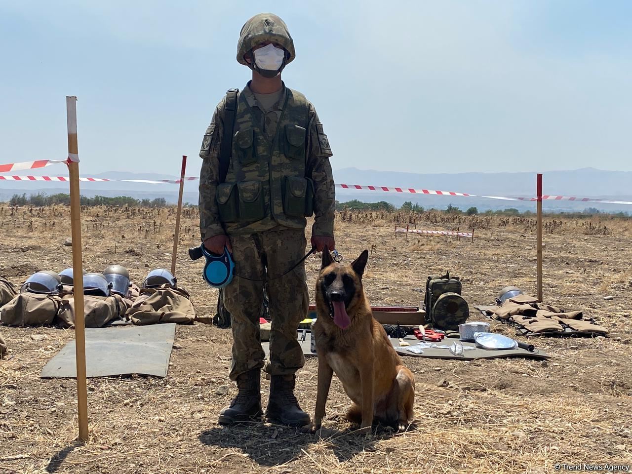 Физули очищают от мин (ФОТО)