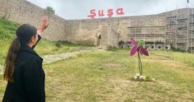 В Азербайджане снимают фильм о турецкой журналистке Фулье Озтюрк, ставшей очевидцем 44-дневной Отечественной войны (ФОТО)