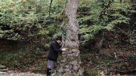 В азербайджанском селе пожилая мать ждет своего сына… - Этот фильм признан лучшим в Египте (ВИДЕО, ФОТО)