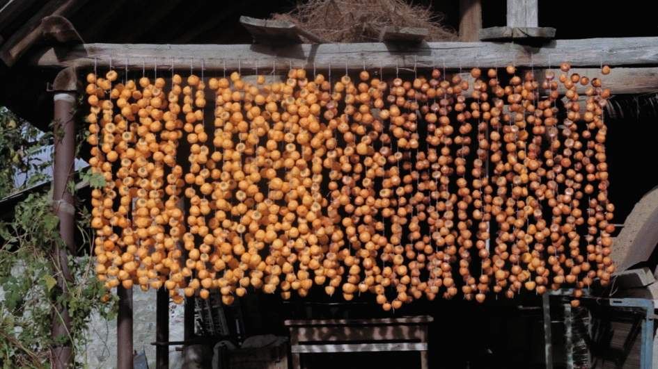 В азербайджанском селе пожилая мать ждет своего сына… - Этот фильм признан лучшим в Египте (ВИДЕО, ФОТО)