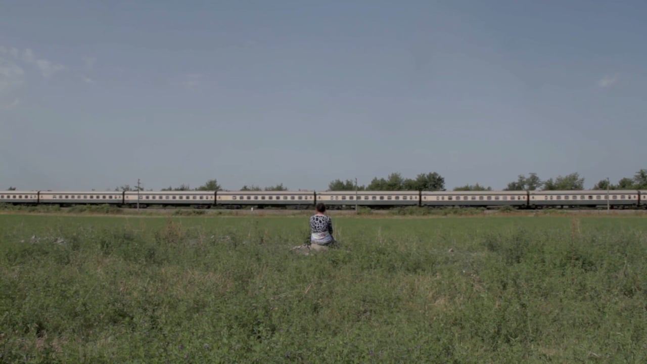 В азербайджанском селе пожилая мать ждет своего сына… - Этот фильм признан лучшим в Египте (ВИДЕО, ФОТО)