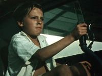 Нападение акулы на побережье Баку, или Последний дюйм. Как сын спас отца – история на века! (ВИДЕО, ФОТО)