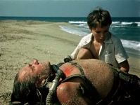 Нападение акулы на побережье Баку, или Последний дюйм. Как сын спас отца – история на века! (ВИДЕО, ФОТО)