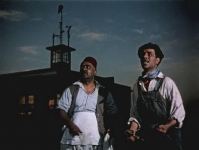 Нападение акулы на побережье Баку, или Последний дюйм. Как сын спас отца – история на века! (ВИДЕО, ФОТО)