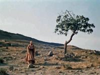 Как Наталья Гундарева стала Дульсинеей Бакинской, а Ичери шехер и Гобустан – Испанией. Почему ноги актрисы запретили снимать в знаменитом фильме? (ВИДЕО, ФОТО)
