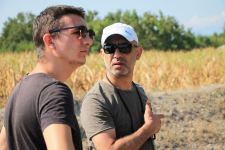 В Баку пройдет "Ночь киноманов" (ВИДЕО/ФОТО)