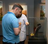 В Баку представлены ювелирные изделия - главный элемент цветок харыбюльбюль (ФОТО)