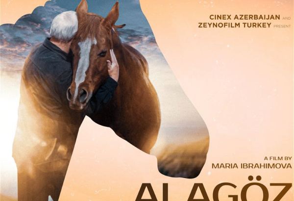 Азербайджанский кинопроект про карабахского скакуна вызвал интерес в Украине