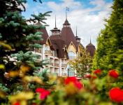 Цветочный шатер-зонтик азербайджанского флориста признан одним из лучших в России (ФОТО)