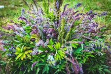 Цветочный шатер-зонтик азербайджанского флориста признан одним из лучших в России (ФОТО)