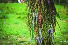 Цветочный шатер-зонтик азербайджанского флориста признан одним из лучших в России (ФОТО)