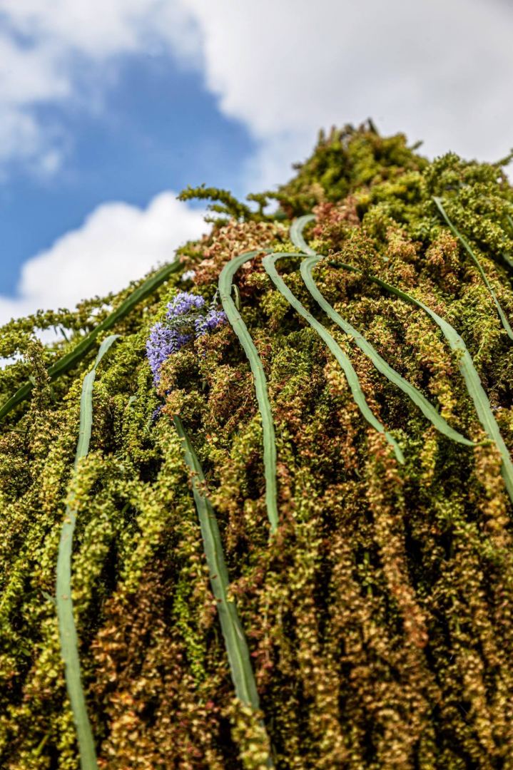 Цветочный шатер-зонтик азербайджанского флориста признан одним из лучших в России (ФОТО)